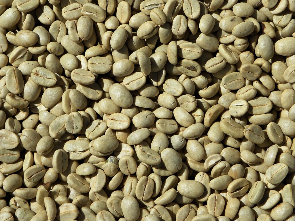 アラビカ生豆